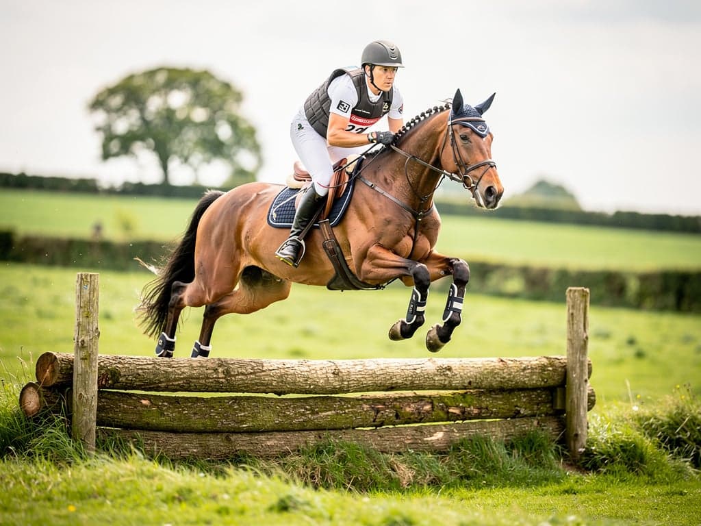 Vielseitigkeit – Die Vielseitigkeit ist eine equestrian Disziplin des Pferdesports, bei der Pferd und Reiter ihre Fähigkeiten in drei…