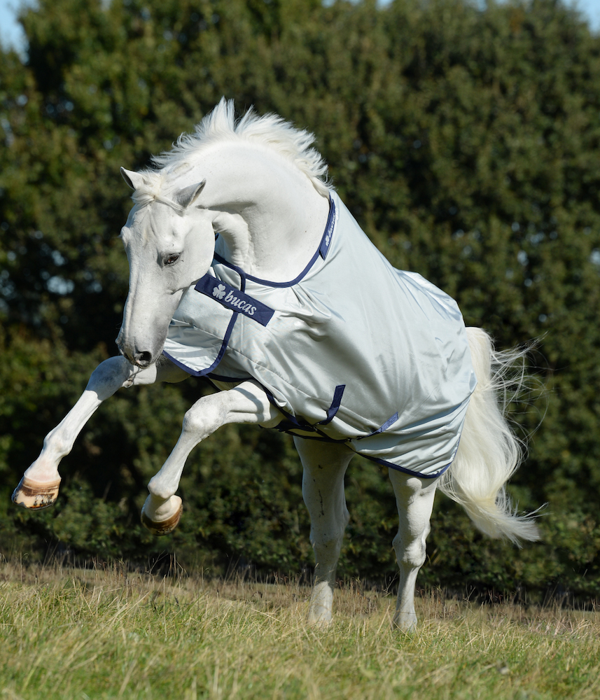 Bucas Weidedecke Power Turnout Light 0g