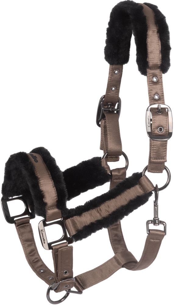 Cavallo Halfter Cavaljero – mocha latte