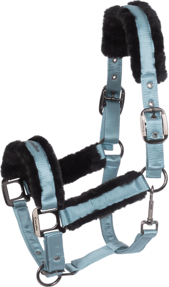 CAVALLO Halfter Cavaljero