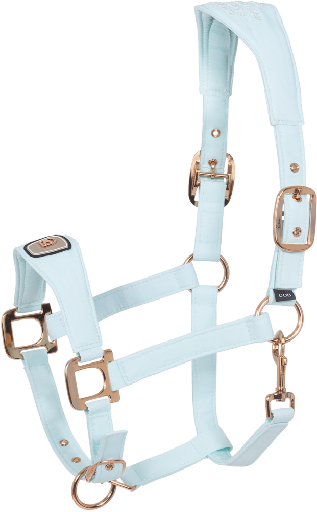 Cavallo Halfter Cavalpawel – crystal blue