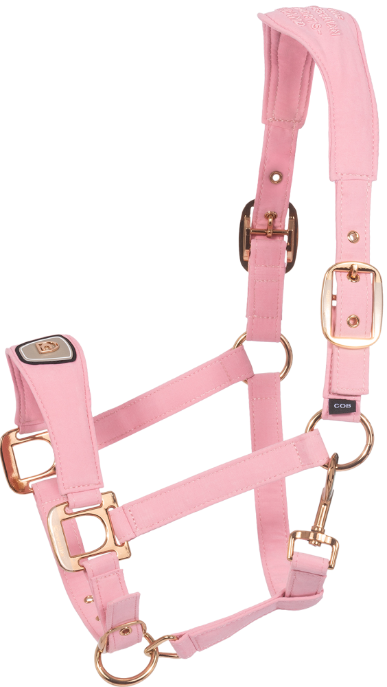 CAVALLO Halfter Cavalpawel