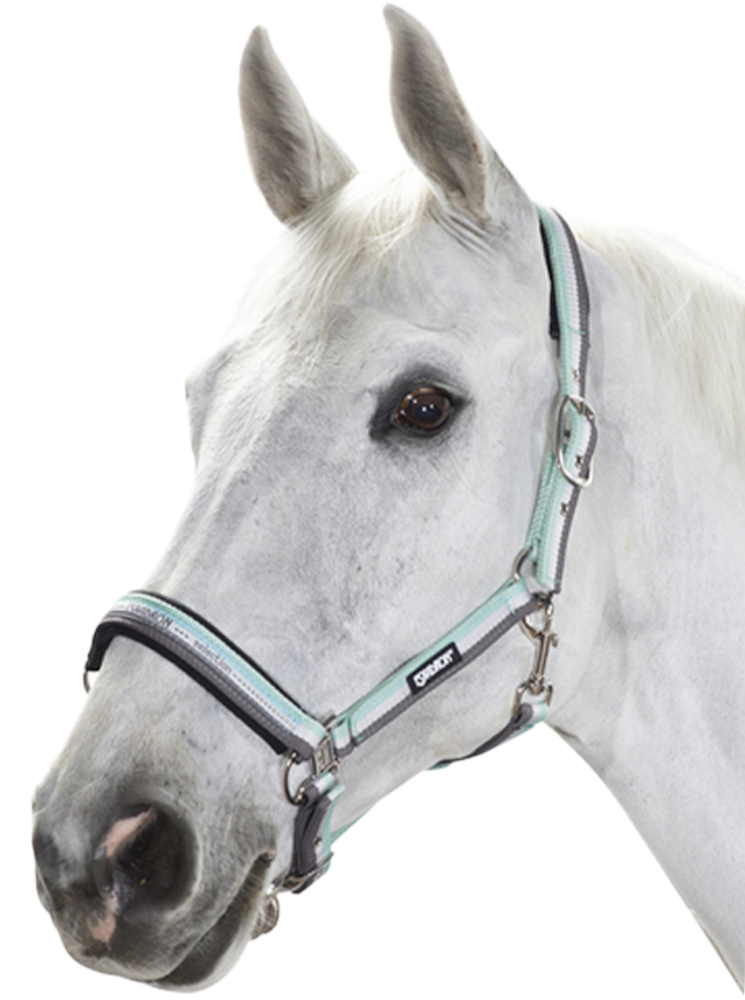 Eskadron Halfter Dornschnalle – ice-white-stone