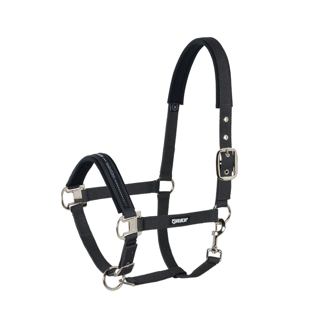 Halfter BASICS Dornschnalle silber