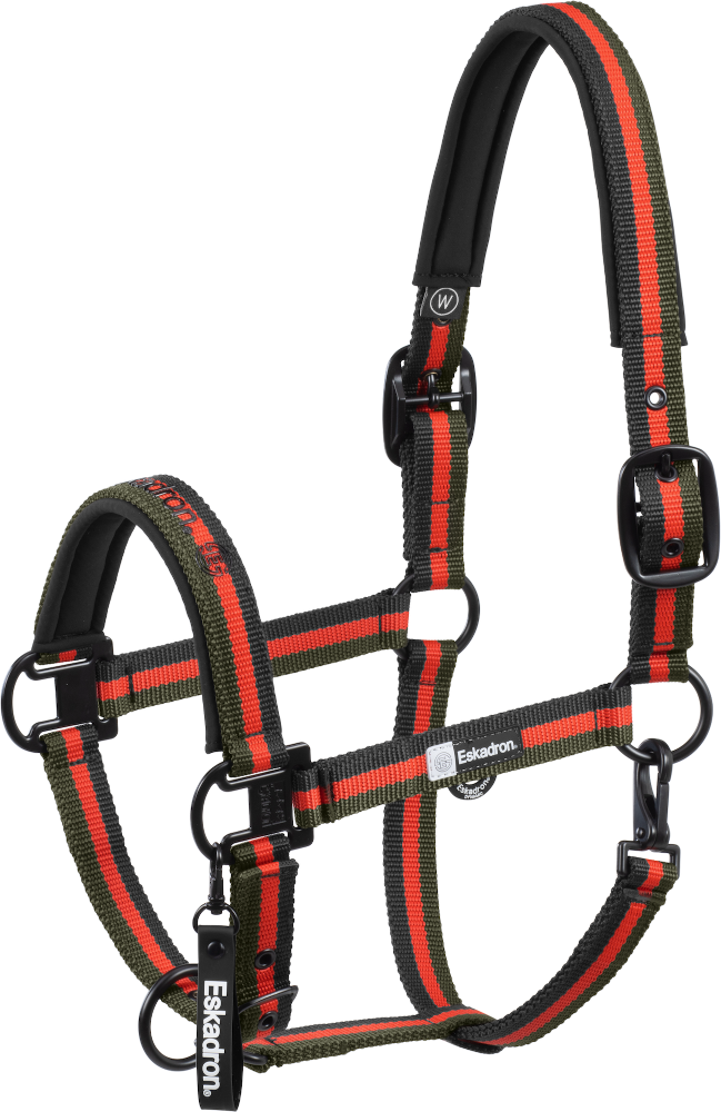 Halfter Double Pin Dynamic