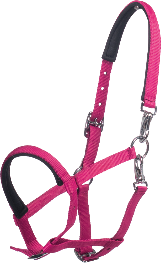 HKM Fohlenhalfter -Millie- – pink