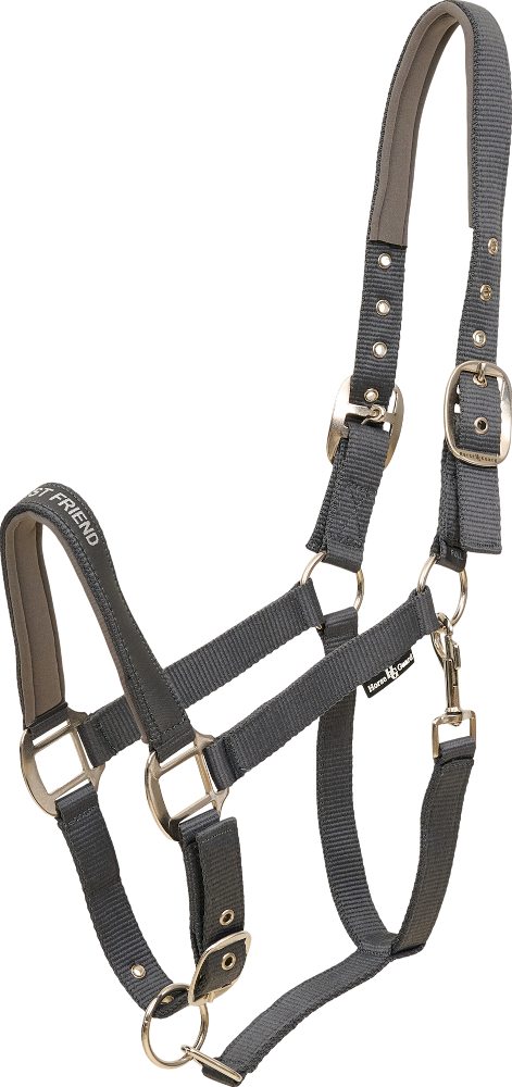 HORSE GUARD Malva Halfter "My Best Friend"