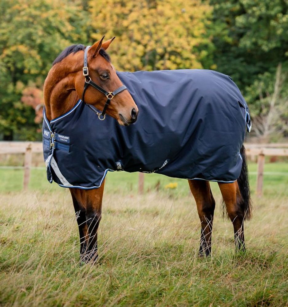 HORSEWARE Amigo Bravo 12 Original - Medium 250g