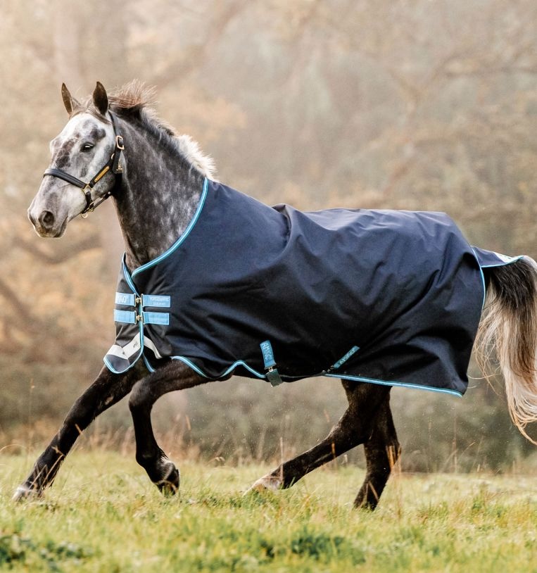 HORSEWARE Amigo Bravo 12 Original