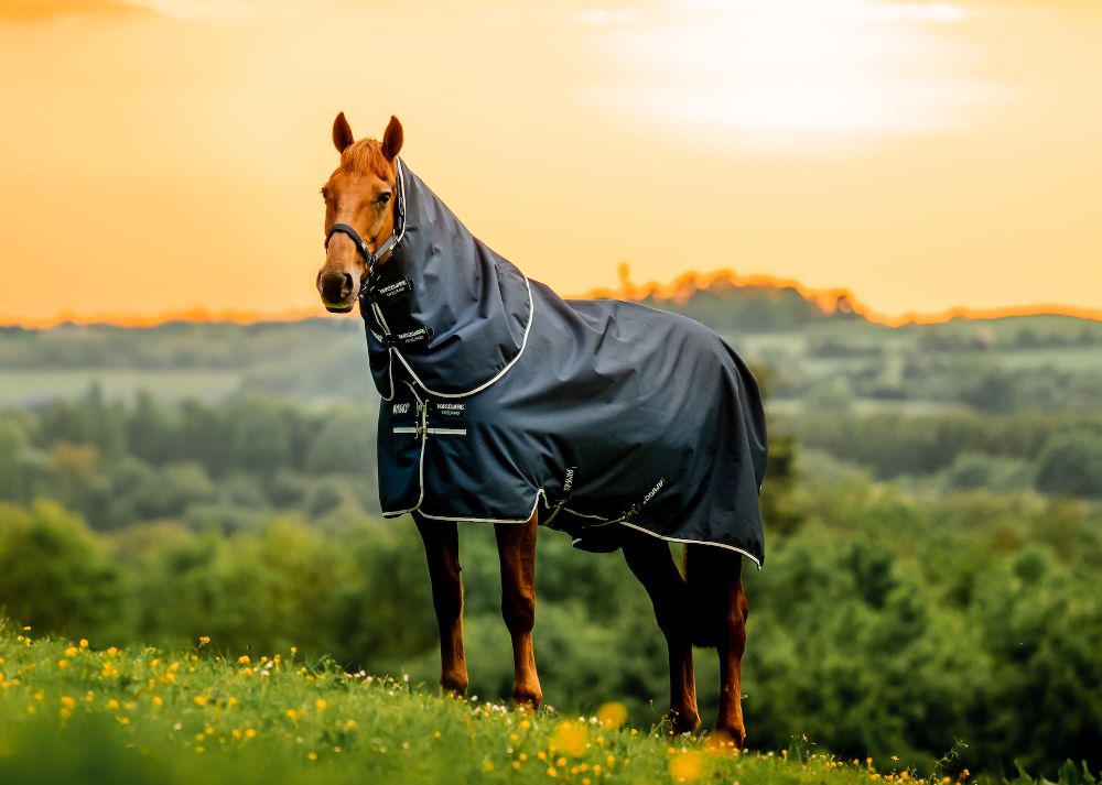 HORSEWARE Amigo Ripstop 900D Plus Turnout (100g Light)