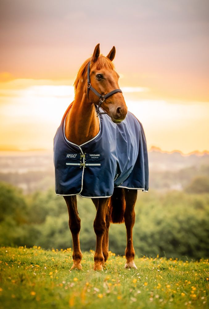 HORSEWARE Amigo Ripstop 900D Turnout mit Fleecefutter (50g Light)