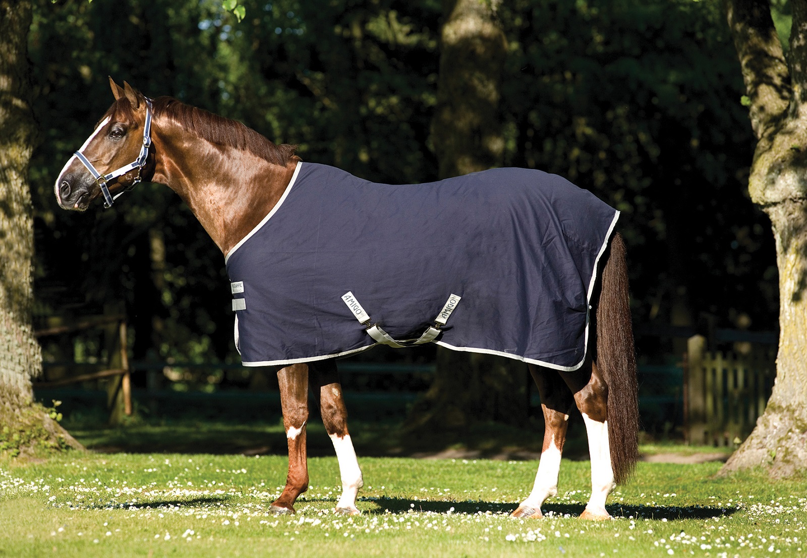 HORSEWARE Amigo Stable Sheet