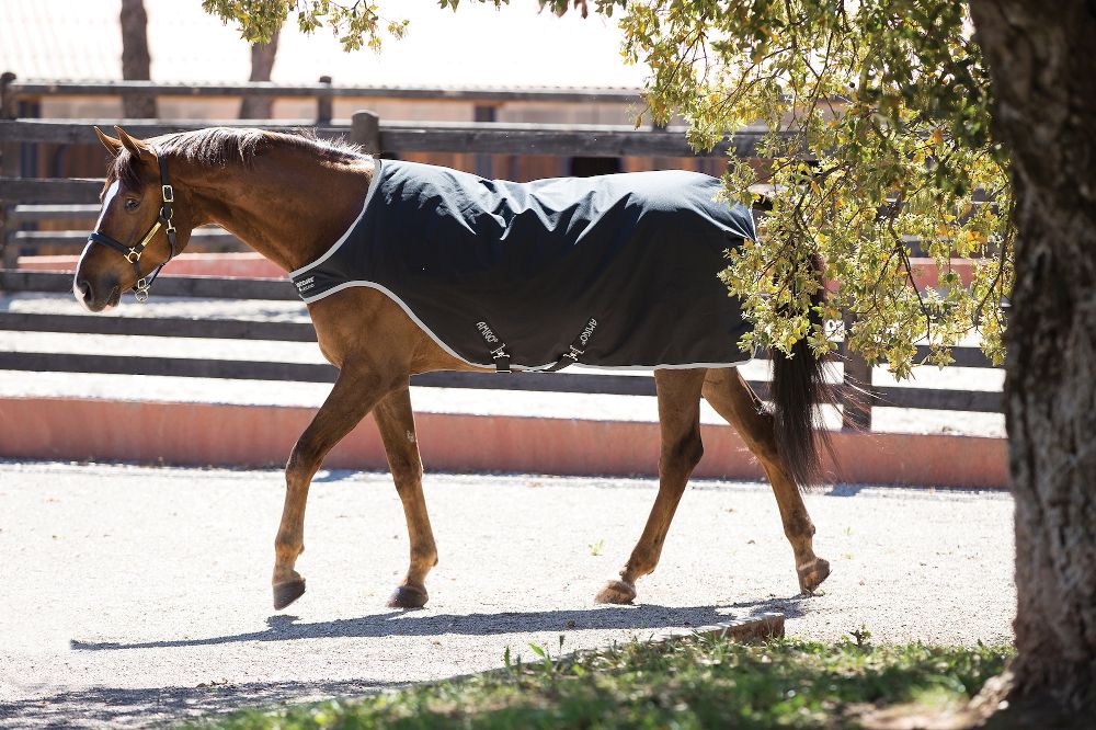 HORSEWARE Amigo Walker 200g