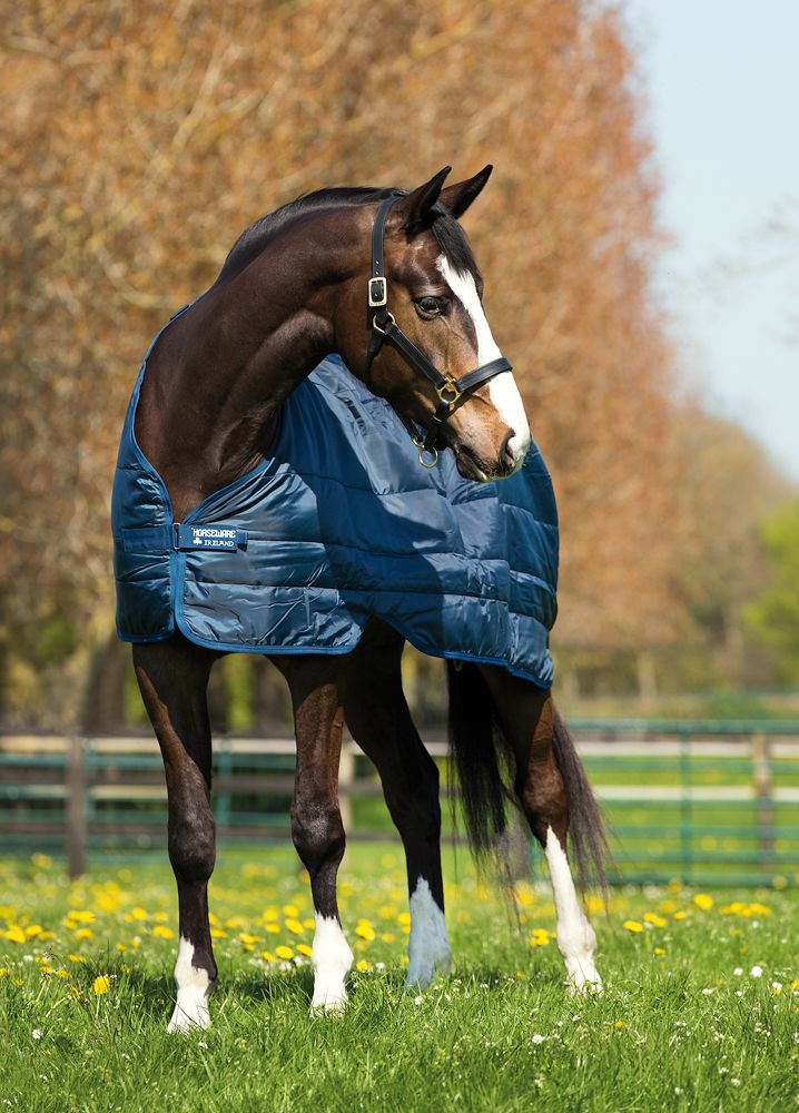 HORSEWARE Liner 100g