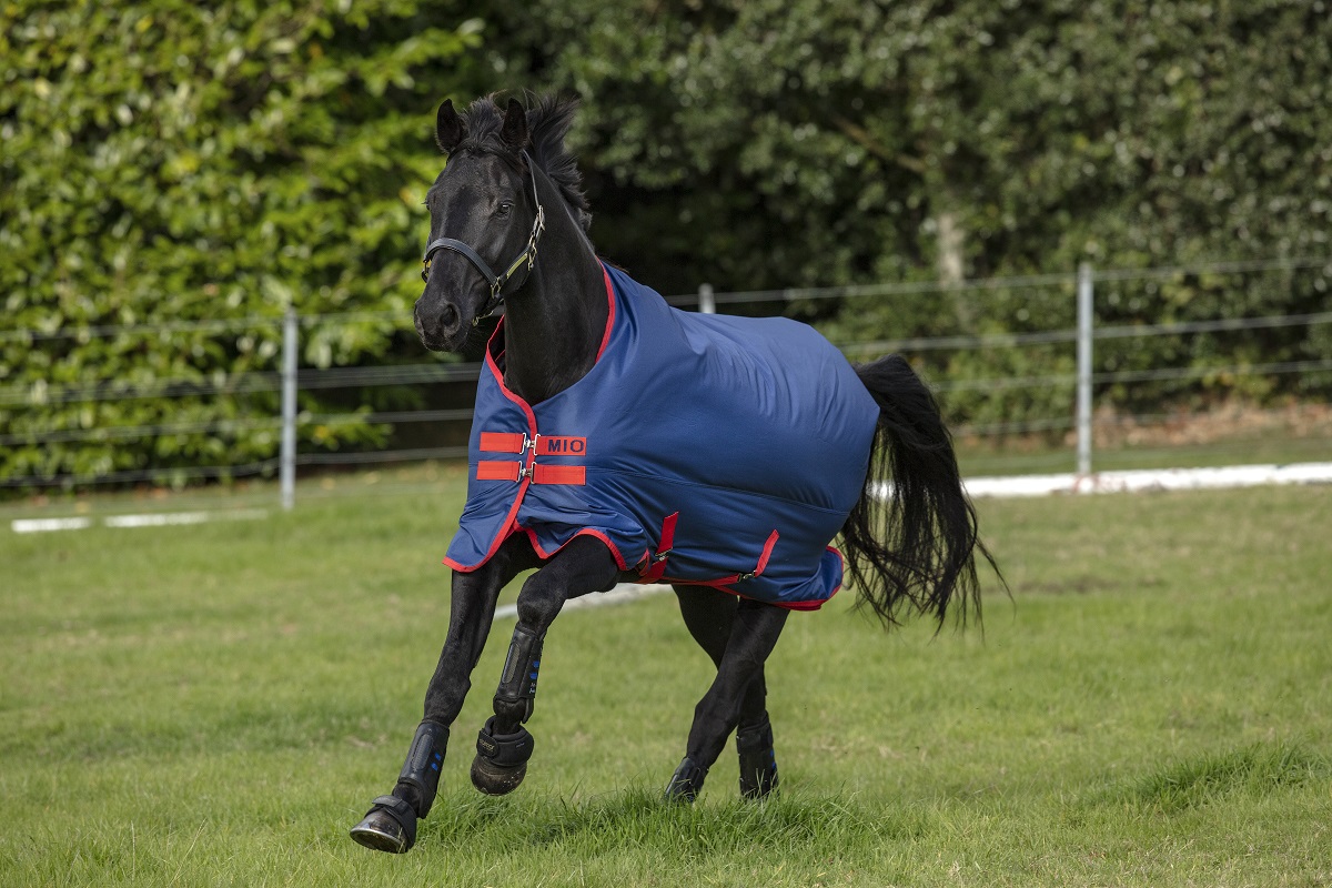 Horseware Mio Turnout - Lite 0g