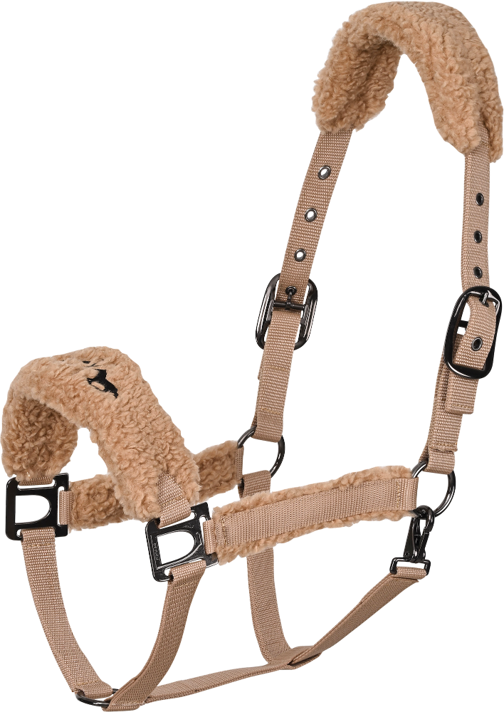 HV Polo Halfter HVPTeddy