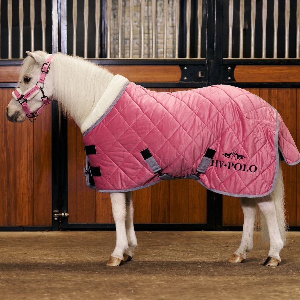HV Polo Stalldecke HVPSacha