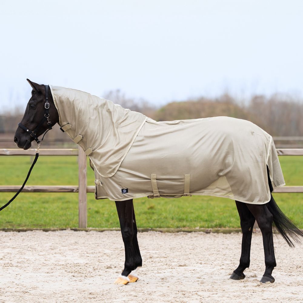 IMPERIAL RIDING Fliegendecke IRHReese
