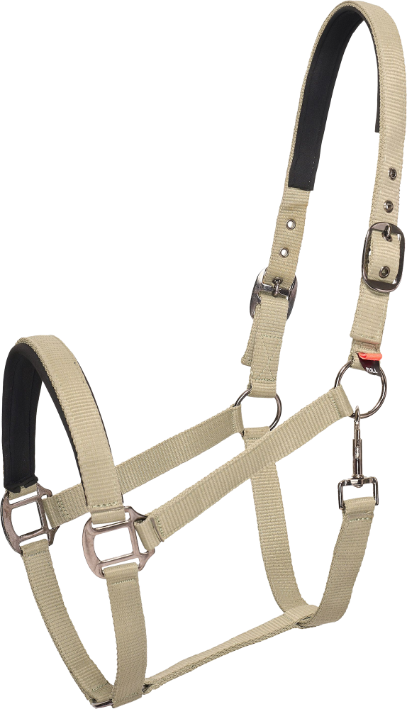 Imperial Riding Halfter IRHClassic Sport – light olive