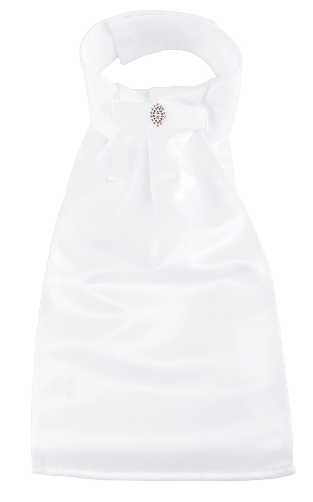 Plastron