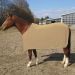 Polartec-Abschwitzdecke Farbe camel