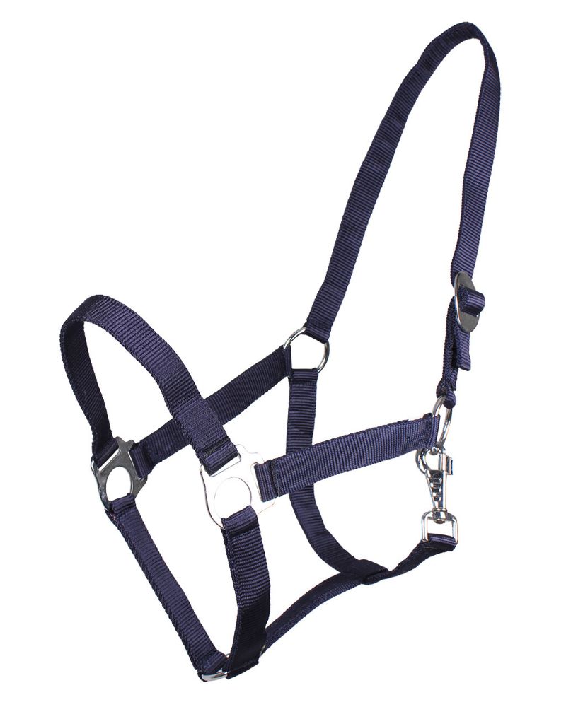 QHP Halfter mit Schiebeschnalle – blau