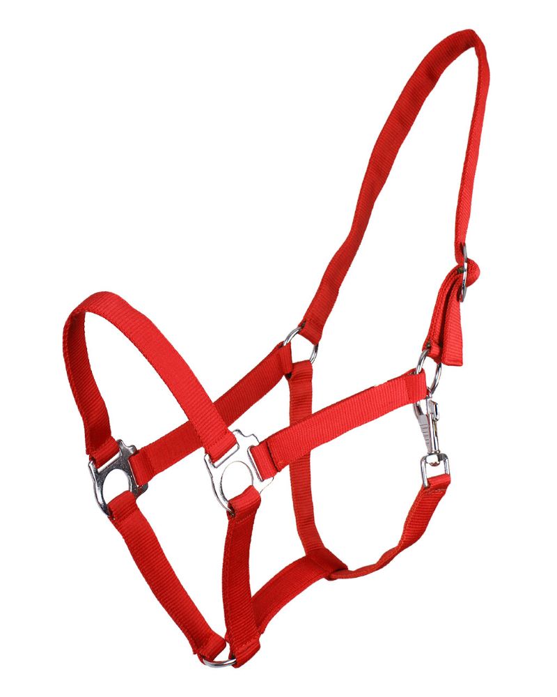 QHP Halfter mit Schiebeschnalle – rot