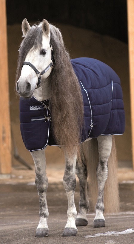 Rambo Stable Rug - Heavy 400g