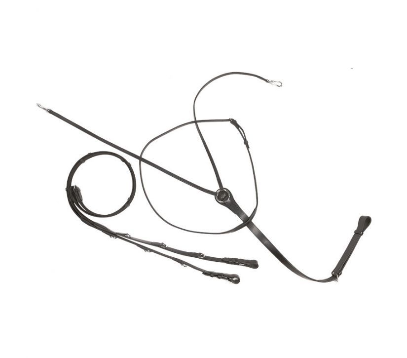 Thiedemann-/Köhler-Zügel