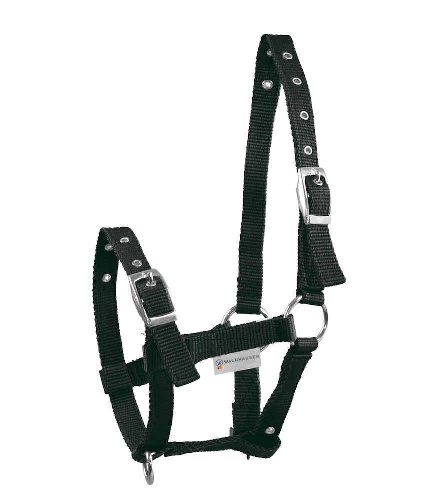 Waldhausen Fohlenhalfter TRIPLE – schwarz