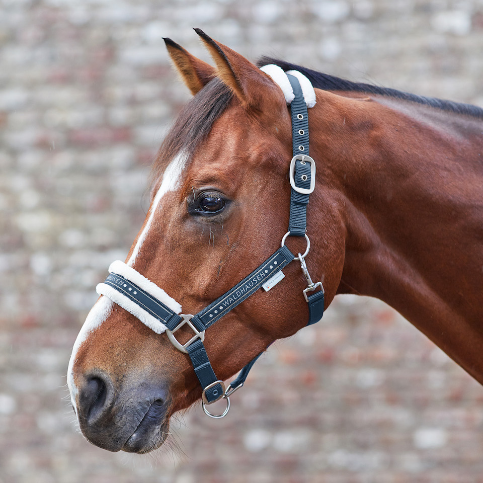 Waldhausen Halfter Elegant – nachtblau