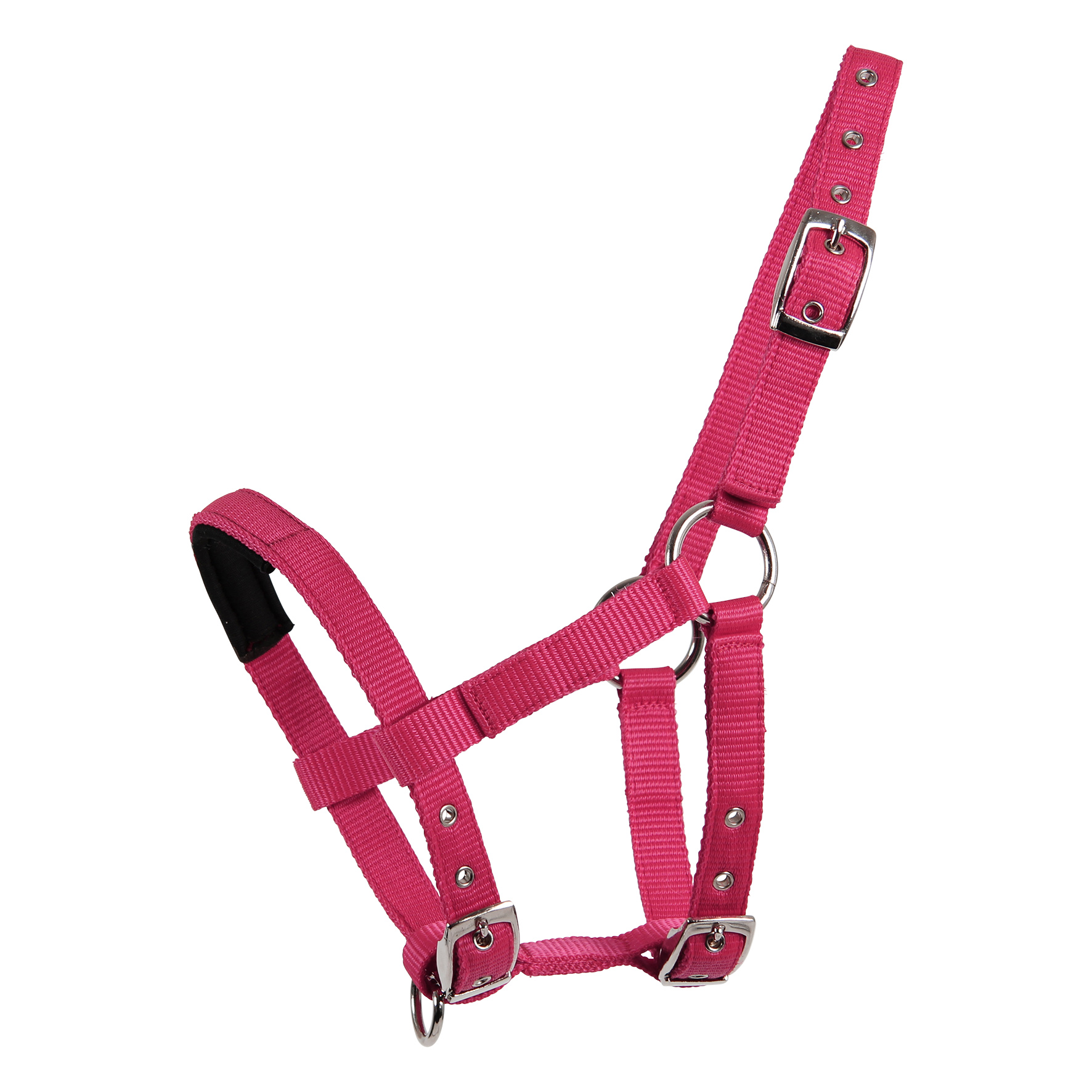 Waldhausen Mini-Shetty Halfter – azalee