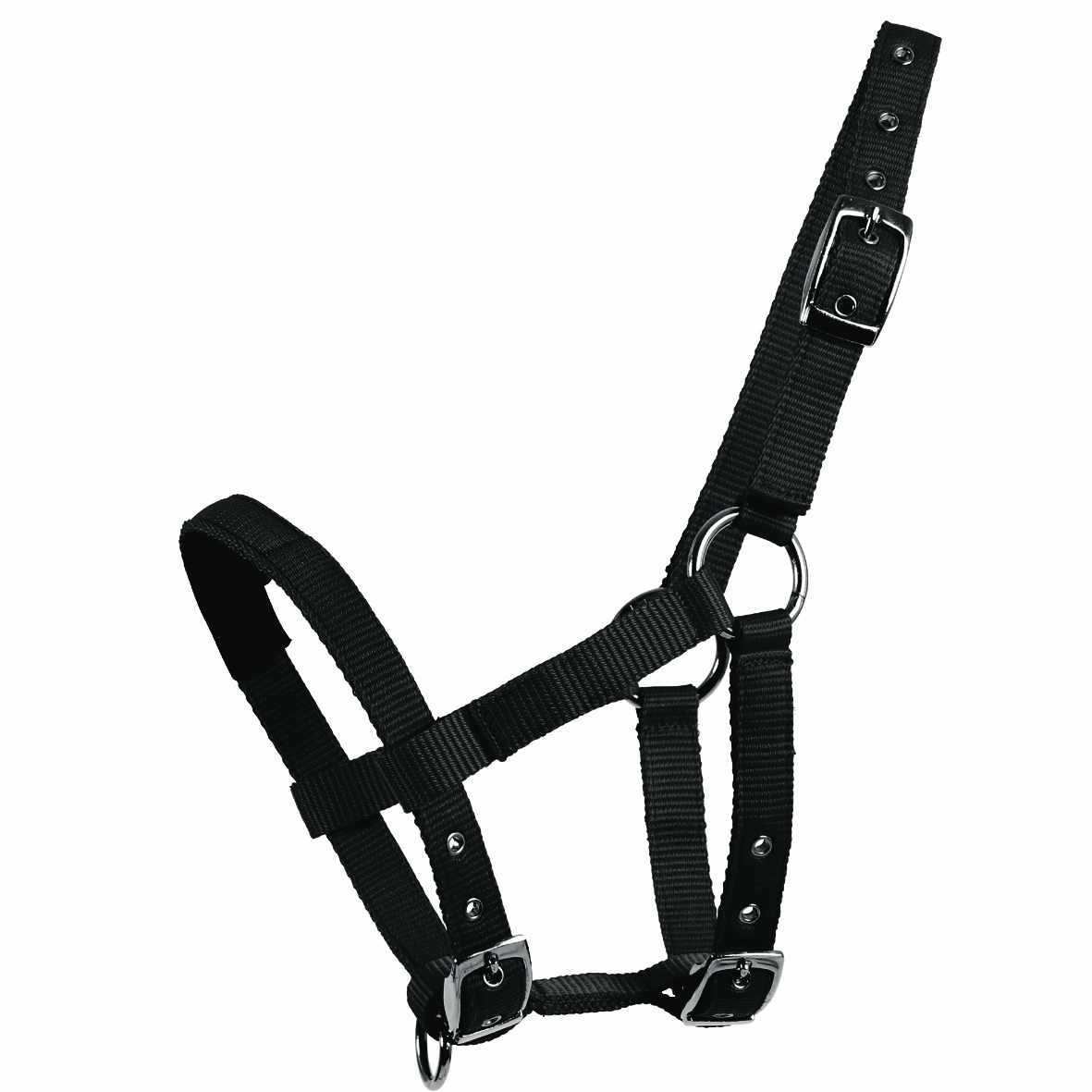 Waldhausen Mini-Shetty Halfter – schwarz